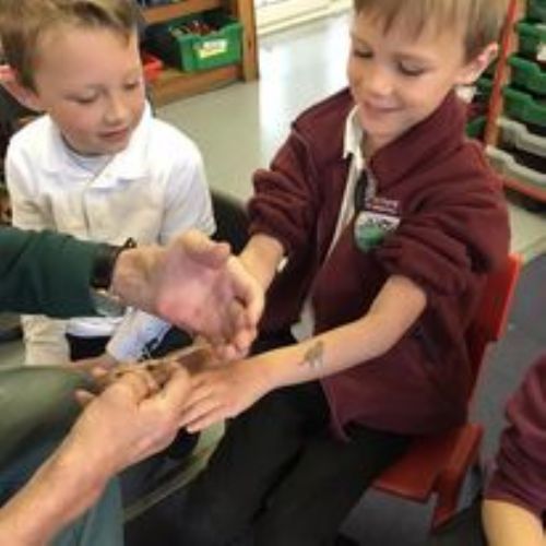 Exmoor Zoo Visit School